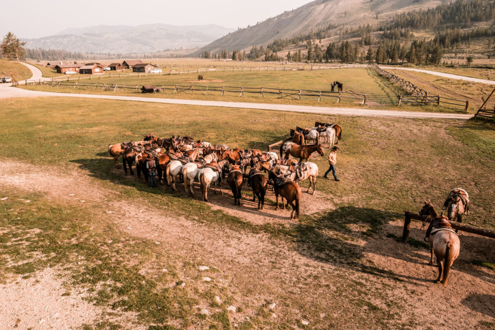 NQCR overhead view of horses tied up