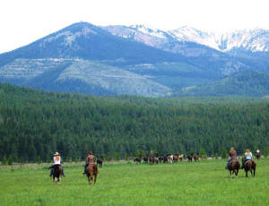 Gather of horses at Rich's Montana Guest Ranch