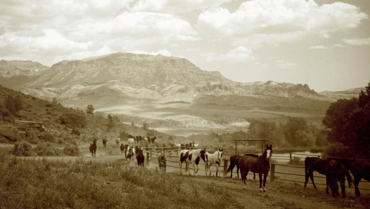 Historical black and white photo of horses at Rimrock Dude Ranch