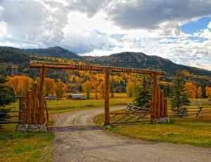 Spotted Horse Ranch cat post