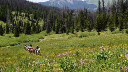 Triangle C ride with wildflowers