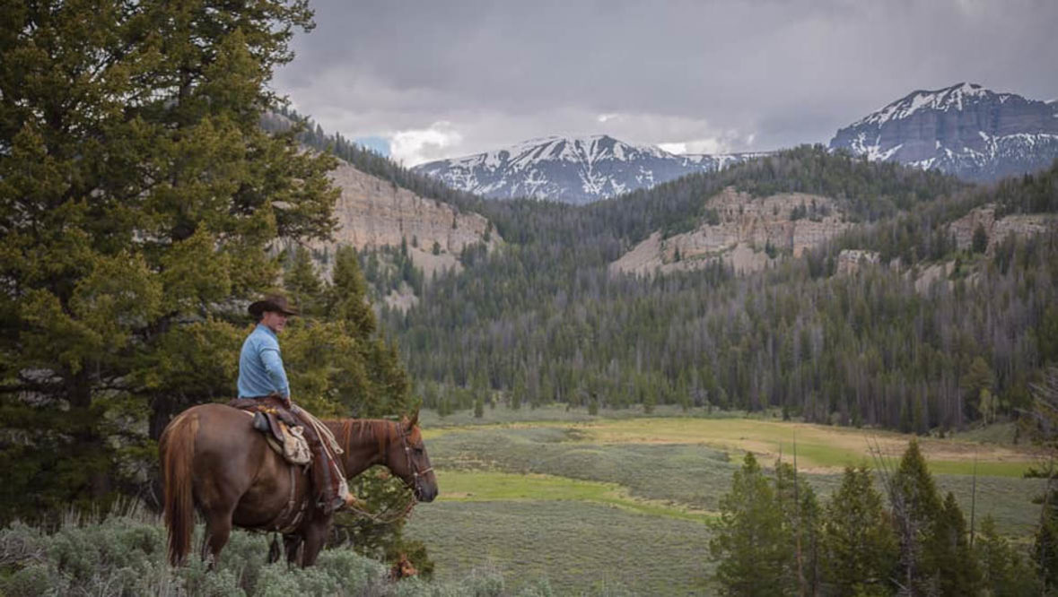 Person riding a horse in a meadow at Triangle C Ranch