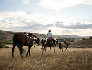 Upper Canyon Cowgirl on a trail ride