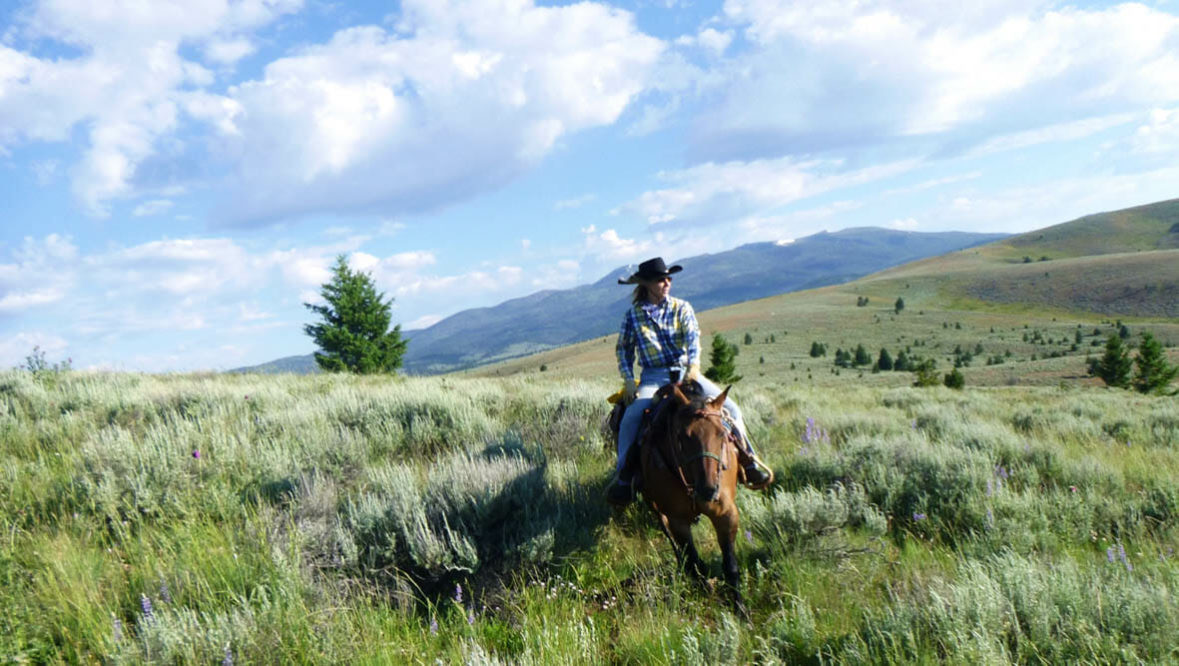 Upper Canyon horse and person on a trail ride