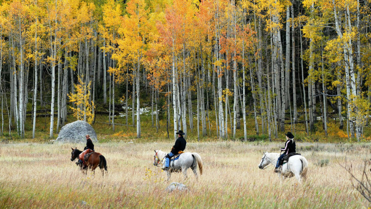 Vista Verde people on horses walking by fall Aspen trees
