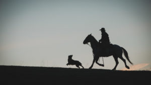 Western pleasure silhouette horse rider and dog at a yellowstone dude ranch