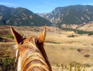 horses ears and mountains