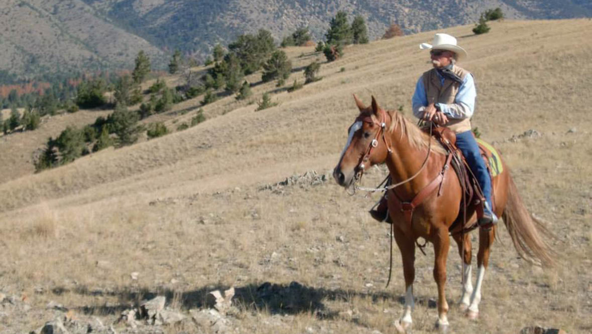 Cowboy at Hidden Hollow Ranch