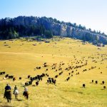 Klondike Guest Ranch