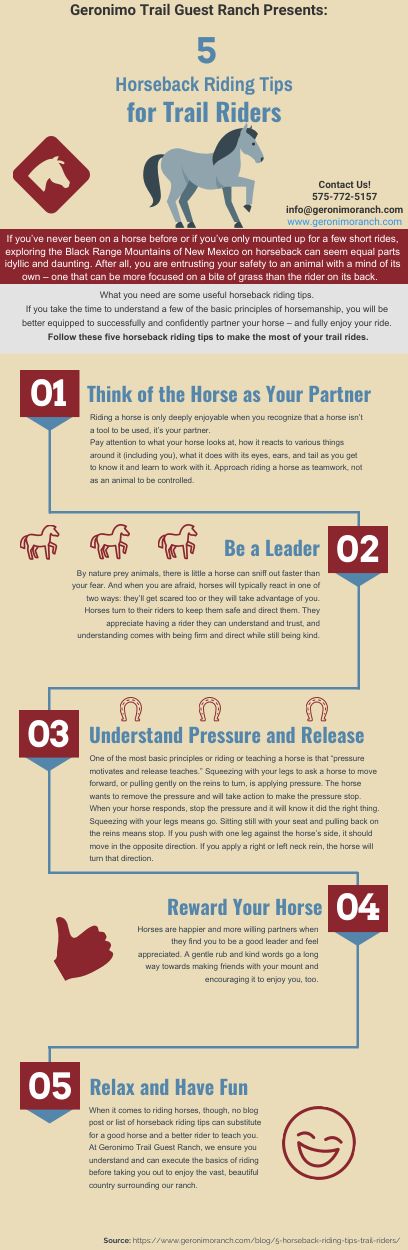 5 Horseback Riding Tips for Trail Riders (All Levels!)