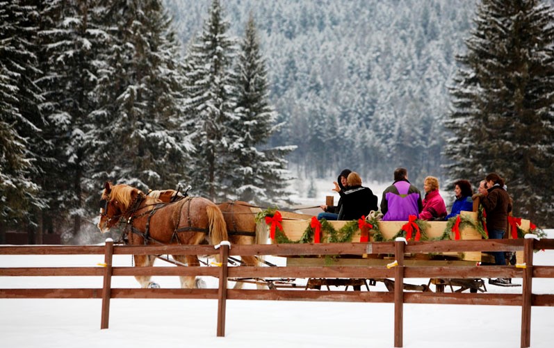 dude ranch vacations