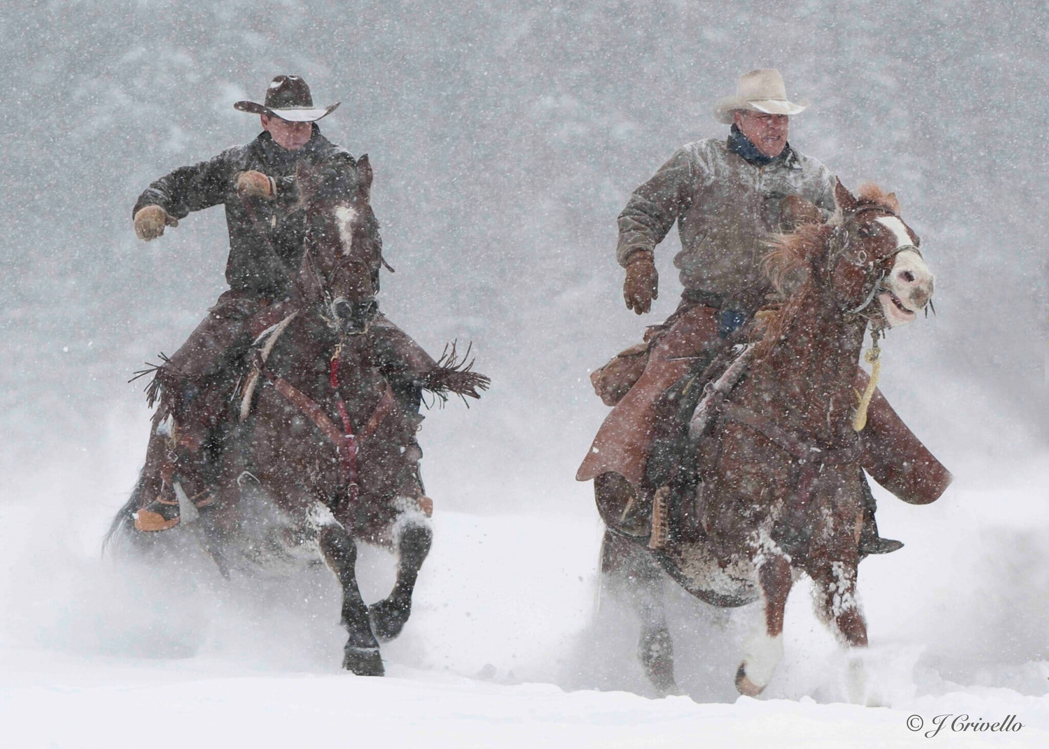 riding horses in the snow