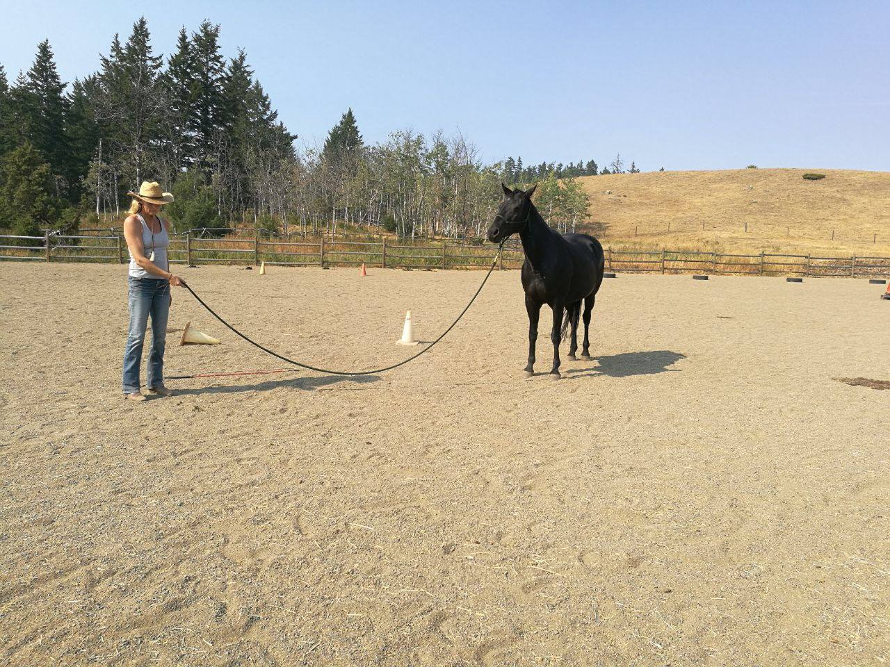 Campbell Hills Guest Ranch