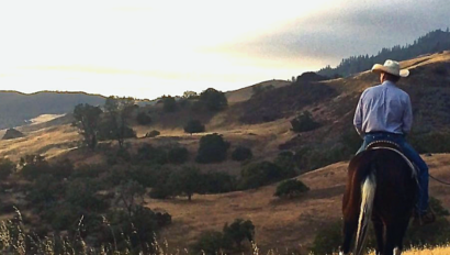 cowboy looking out at mountains