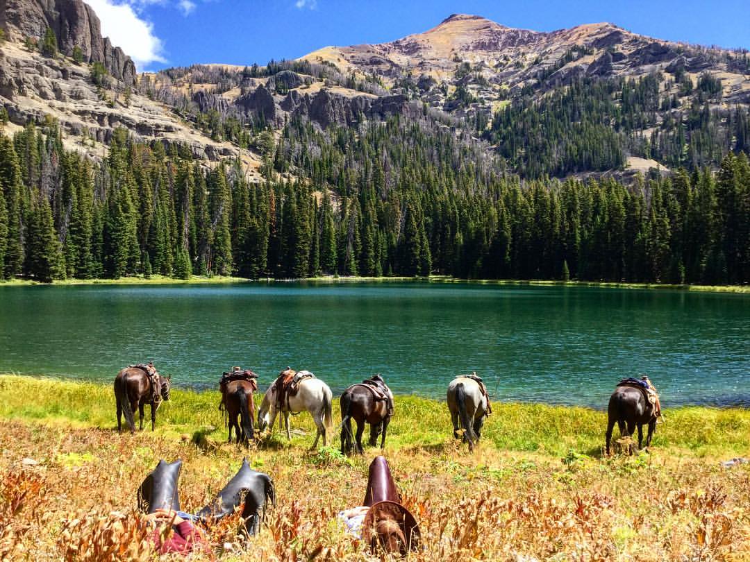 Travel Plans colorful landscape with water, mountains and horses