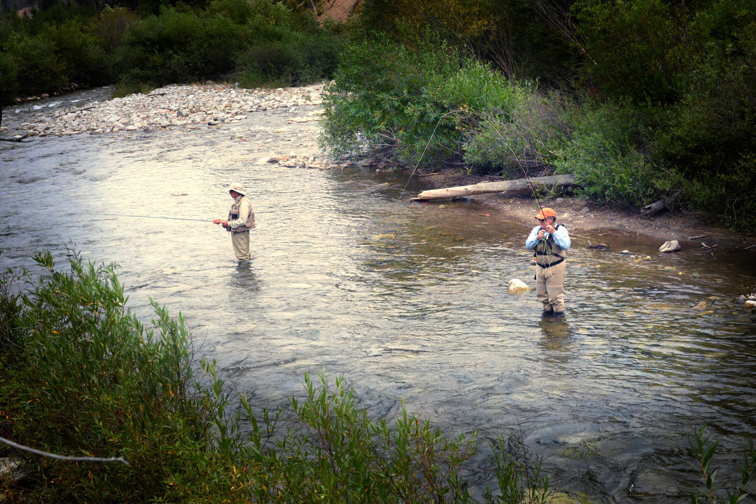 Diamond D Idaho Dude Ranch