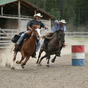 Paradise Ranch Horses