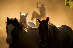 Eatons Gather Sunset Romance