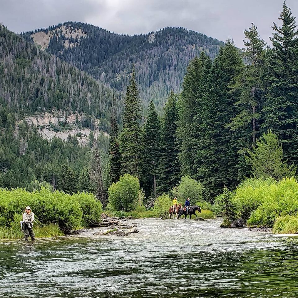 Flat Creek digital detox