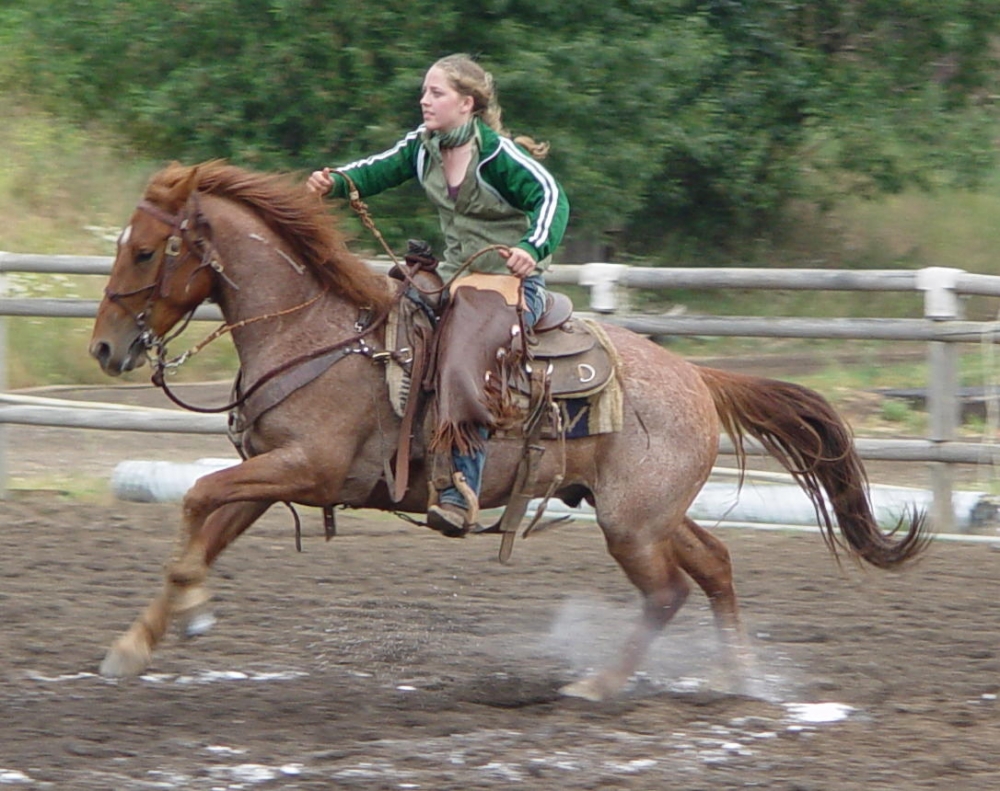Greenhorn California Dude Ranch