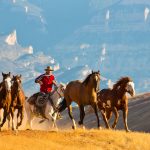 Hideout Horses Running