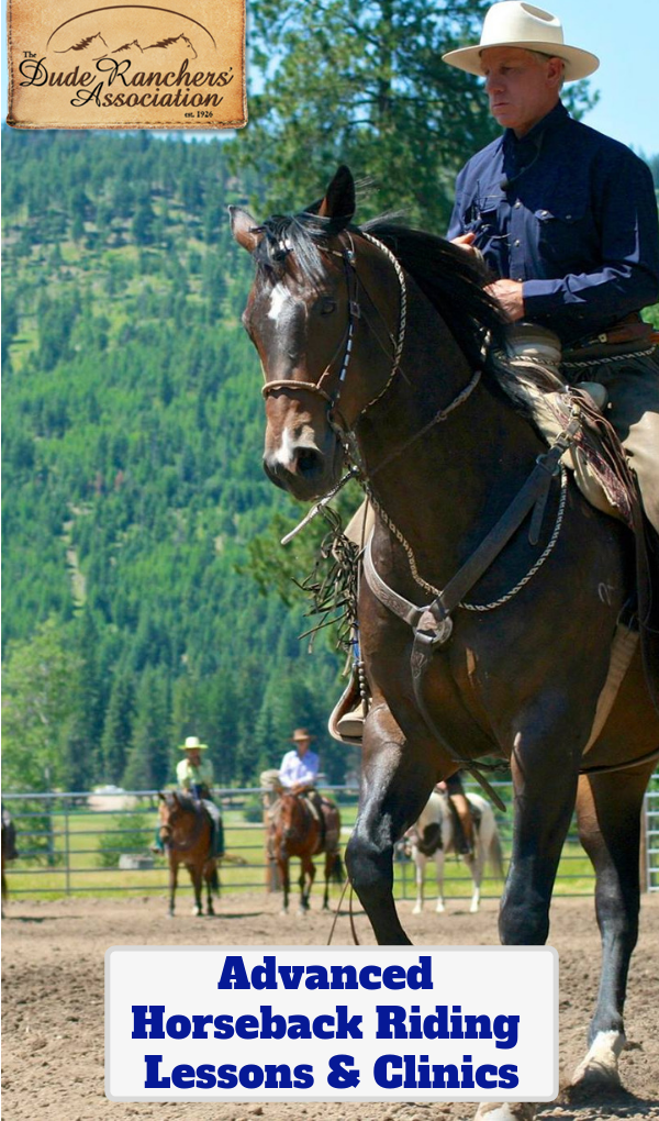 Horseback riding lessons and clinics