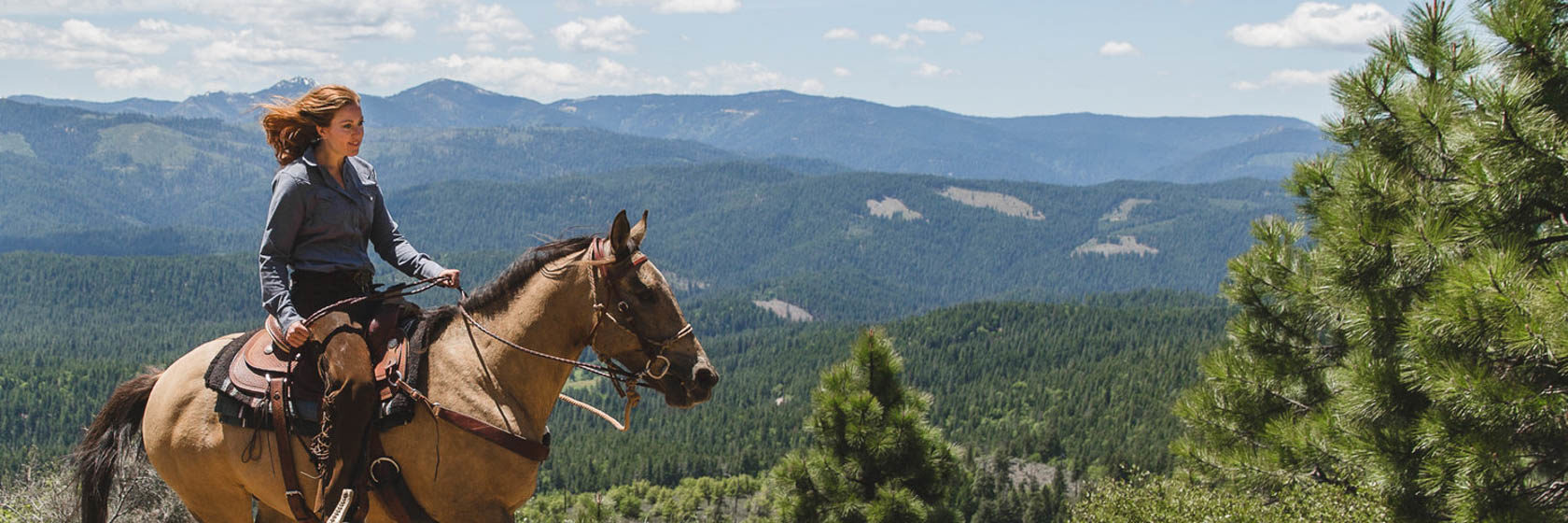 Cowgirl on horse loping