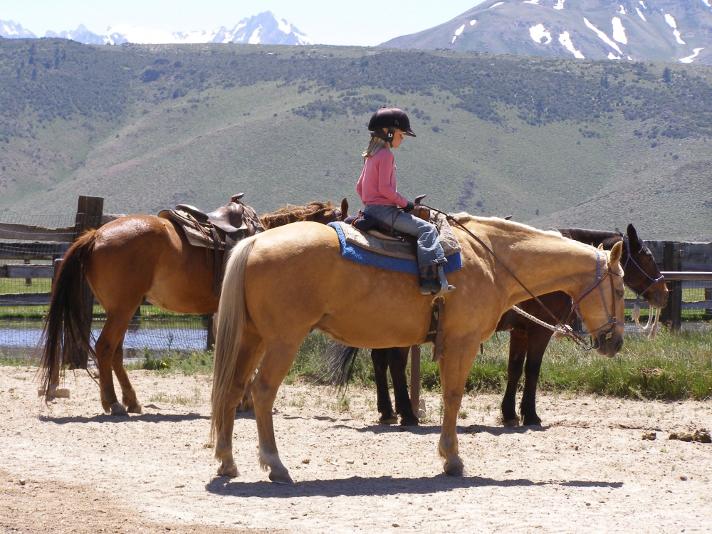 Best Vacations Destinations for Kids Hunewill Circle H