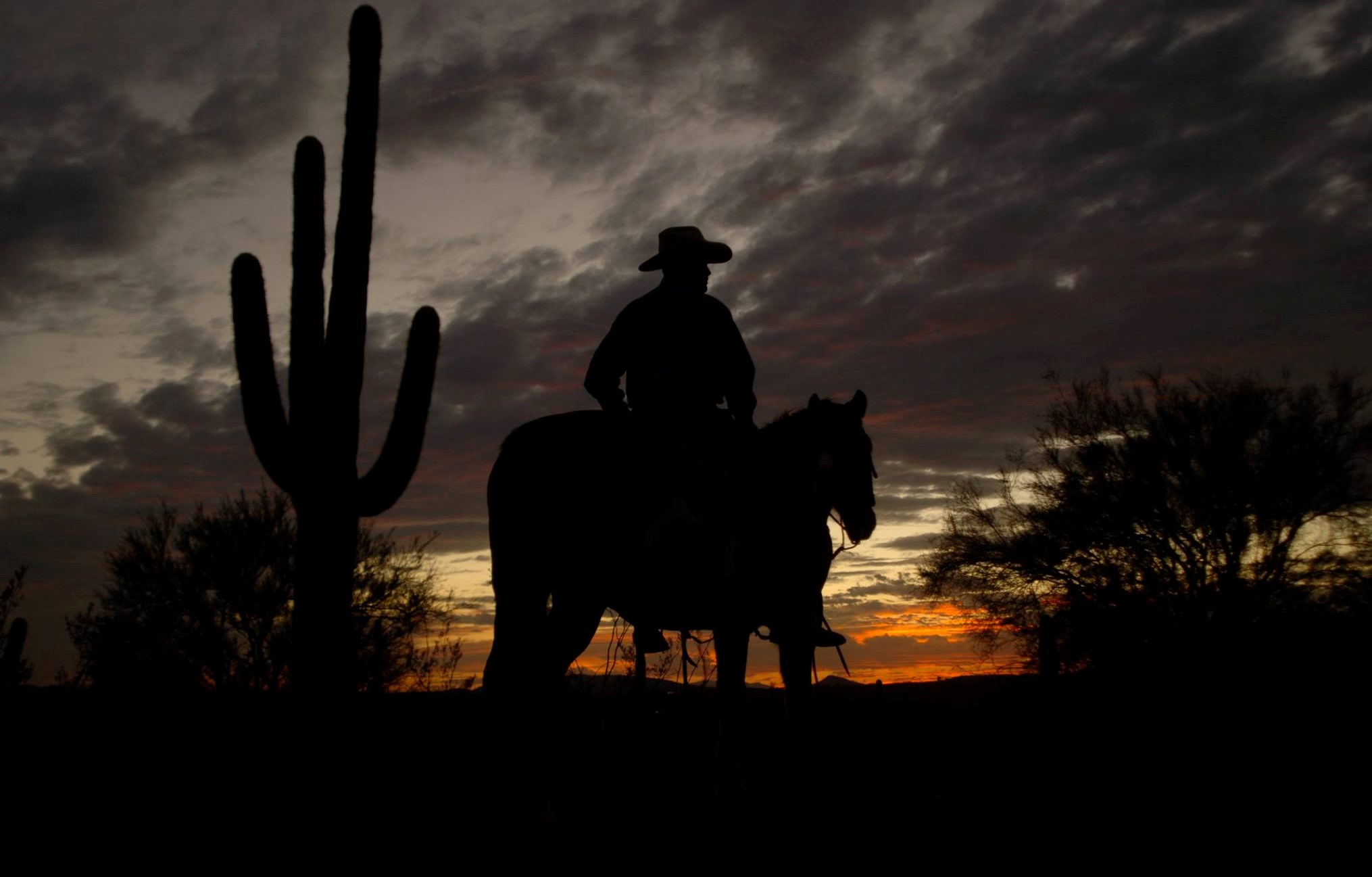dude ranch vacations