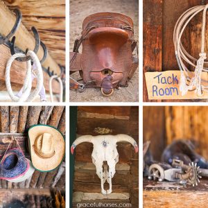 Lazy-LB-Ranch-Wyoming