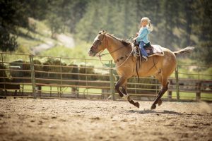 Lost Valley Spring Break