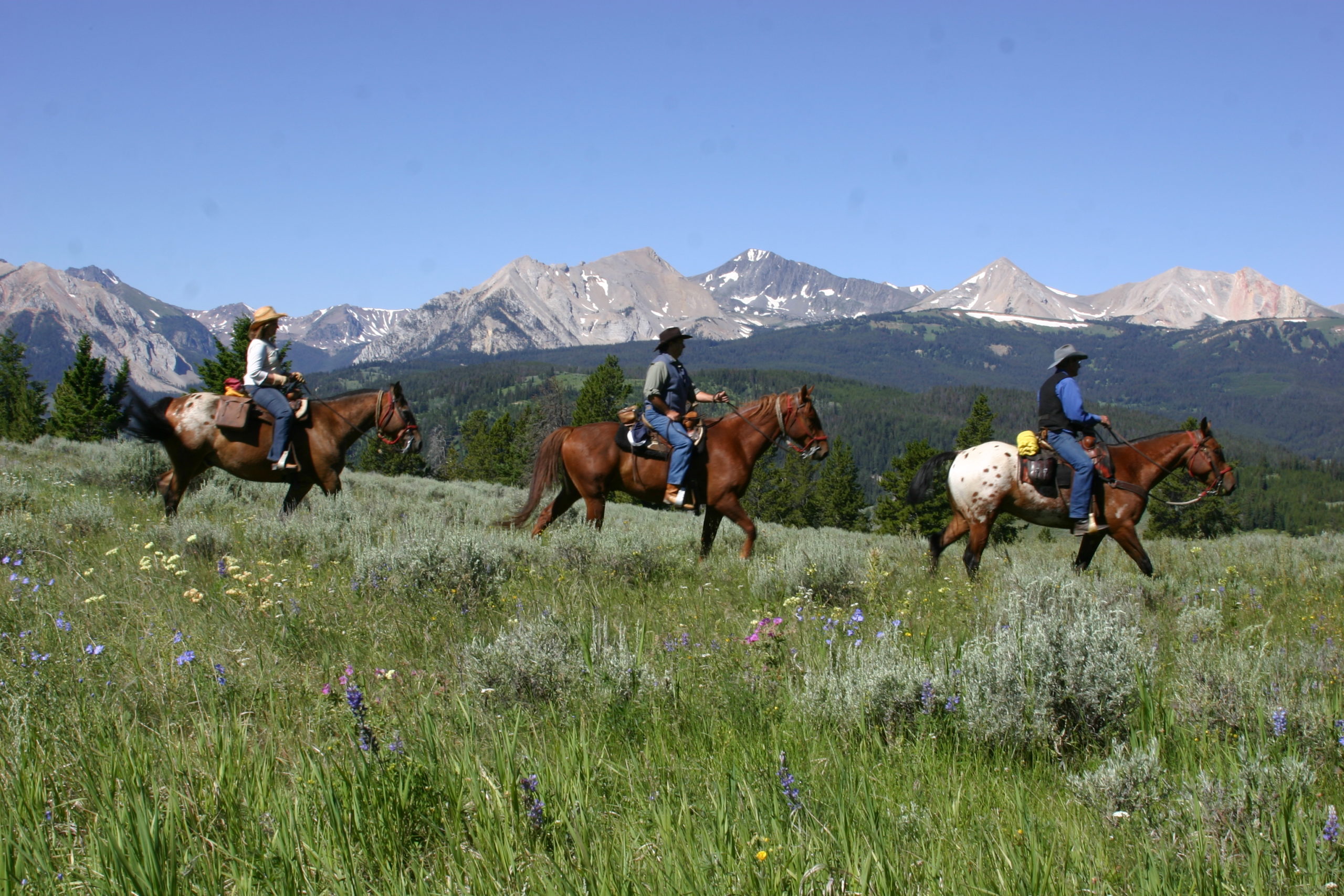 Nine Quarter Circle Ranch