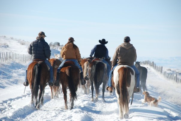 back view of people riding horses