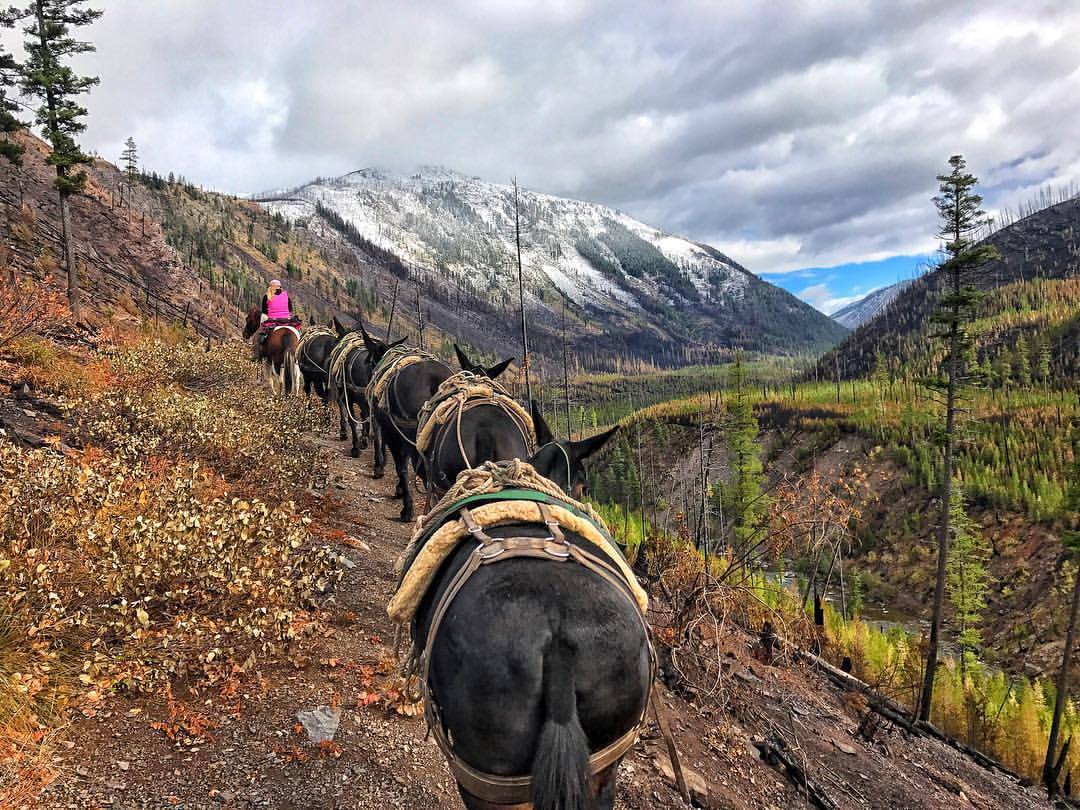 Rich Ranch Pack Trip Mountains - Lodging Near Glacier National Park 