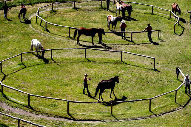 Rocking Z Arena Round Pen Riding Lessons