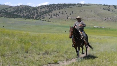 Rider riding in field