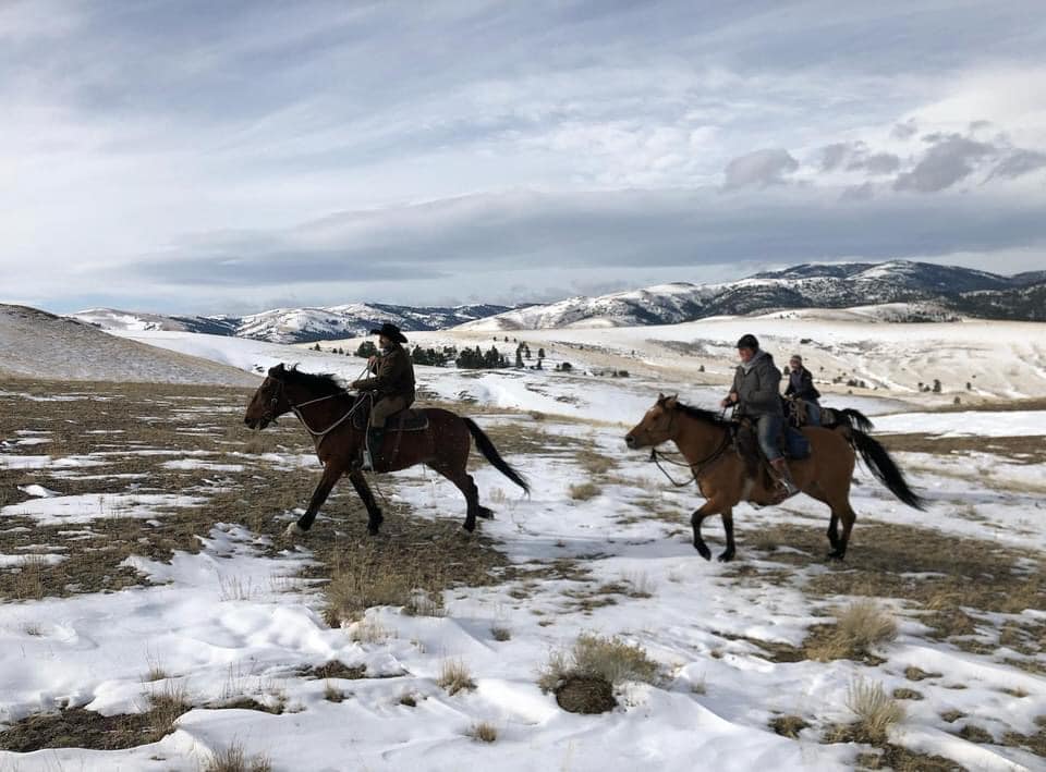 horseback riding in snow