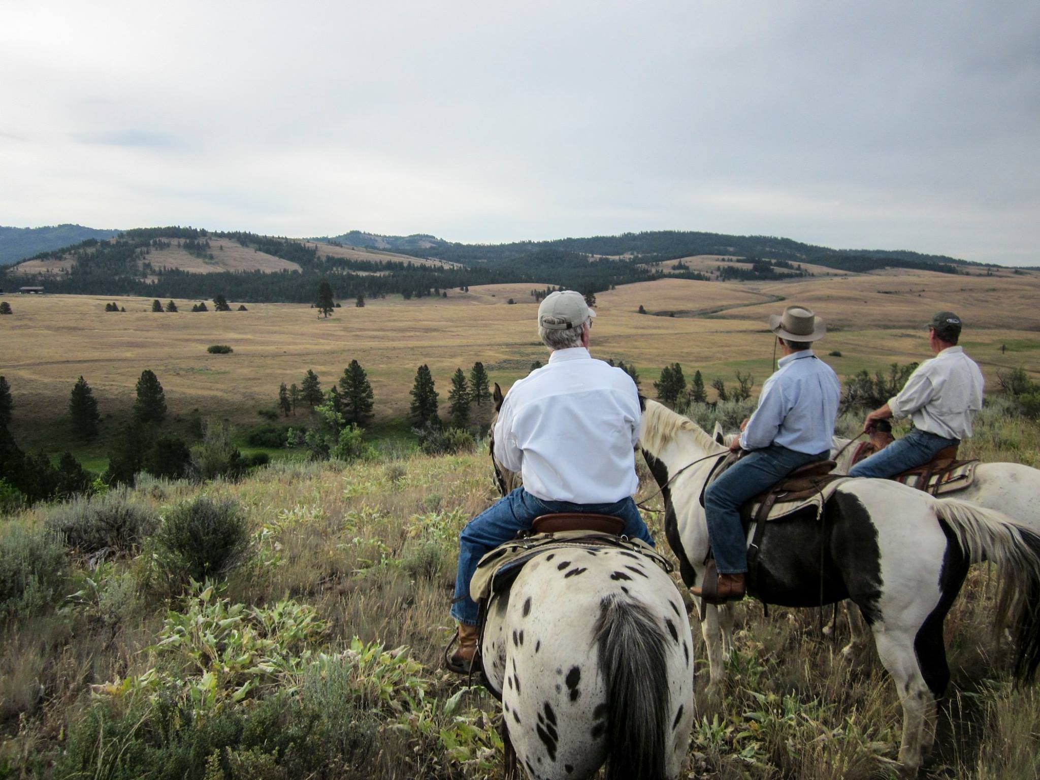 Seven Devils Lodge Idaho Dude Ranch