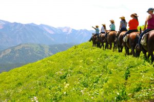 Bring Your Own Horse to Spotted Horse Ranch in Wyoming horses lined up on mountain side