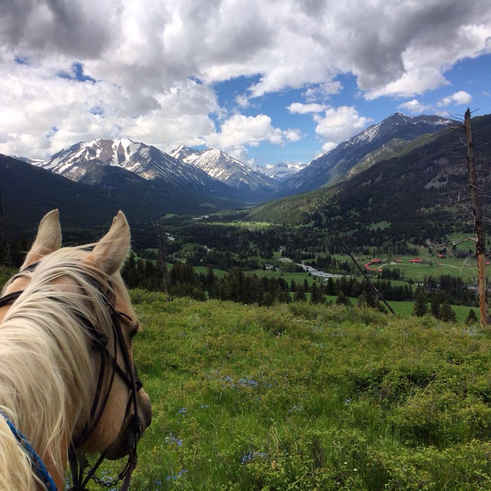 Sweet Grass digital detox