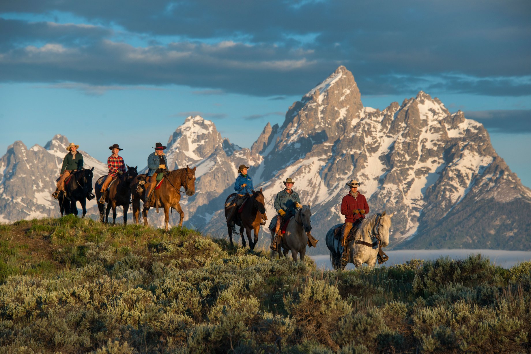 horses on a mountain
