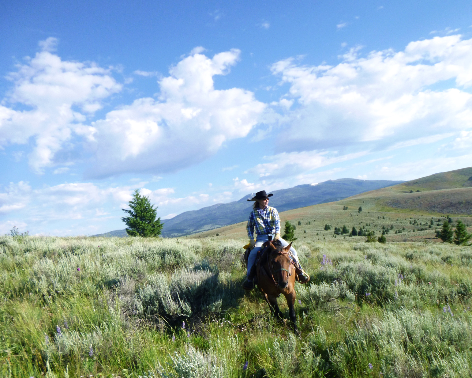 Travel Plans Person riding a horse
