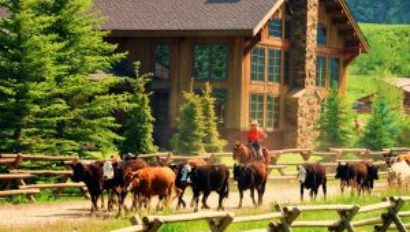 Vista verde drive cattle