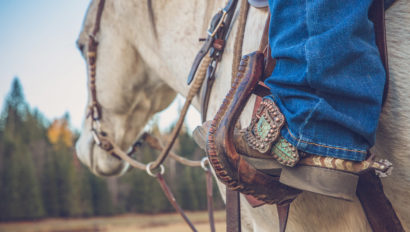 boot in stirrup on a horse at Western Pleasure Guest Ranch