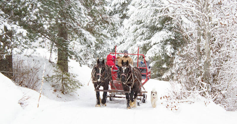 horse sleigh ride