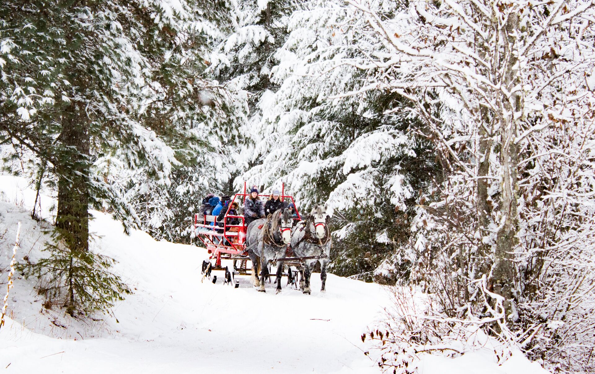 Winter Sleigh Ride