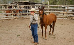 Zapata Ranch Cameron Schyver Clinic