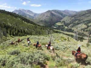 Mountain Trail Ride Bull Hill Guest Ranch