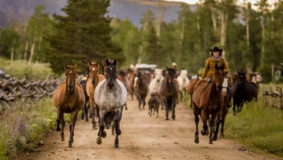 Rawah Horses Running