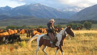 Hunewill Cattle Fall Paint Horse